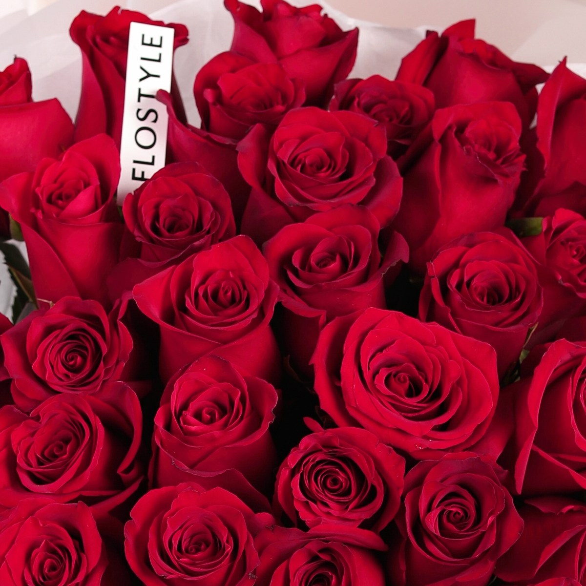 51 krasnaya roza 786